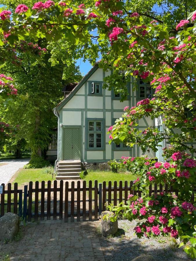 Jagdschloss Friedrichsmoor Neustadt-Glewe Luaran gambar